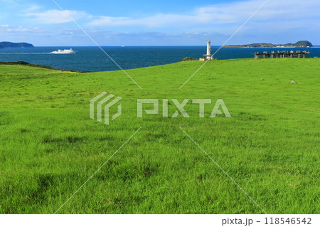 【佐賀県】肥前立石埼灯台と杉の原放牧場と小川島 【佐賀県】肥前立石埼灯台と杉の原放牧場と小川島 118546542
