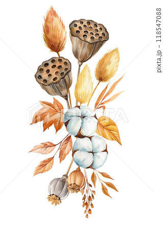 Fall composition with seed lotus, cotton flower, dry leaves isolated. Autumn flora watercolor painting for design poster 118547088