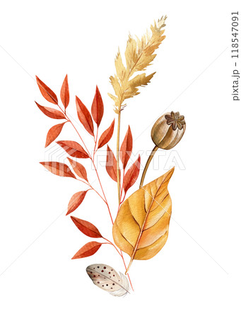 Fall composition with flowers and dry leaves isolated. Elegant autumn flora watercolor painting for design, poster, card Fall composition with flowers and dry leaves isolated. Elegant autumn flora watercolor painting for design, poster, card 118547091