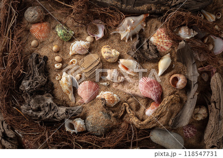 Beach themed background with snags, shells, stones, and sand. 118547731