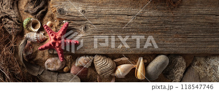 Beach themed background with driftwoods, shells, stones, and sand. 118547746