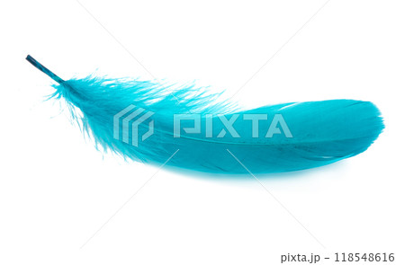 Fluffy color bird feather decorative style in studio isolated on the white 118548616