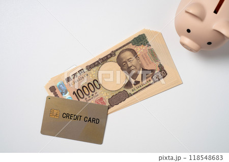 クレジットカードと一万円札と豚の貯金箱 118548683