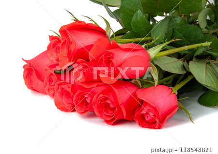 Bouquet of pink rose fresh bloom isolated on the white 118548821