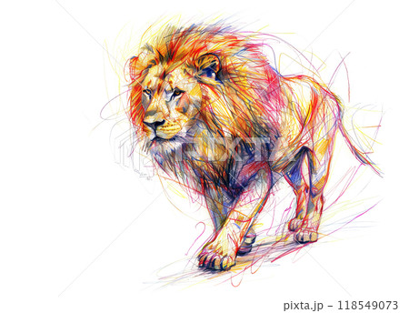 Vibrant, colorful sketch of a majestic lion in motion. Dynamic pencil lines emphasize power and grace, perfect for wildlife and art enthusiasts. Animals painting. 118549073