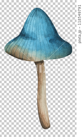 Forest mushrooms elements illustration watercolor style collection for Autumn design. 118549791