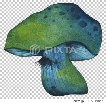 Forest mushrooms elements illustration watercolor style collection for Autumn design. 118549844