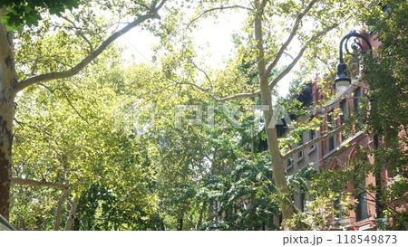 New York City townhouse building, Brooklyn Heights residential brownstone house architecture in USA. New York City townhouse building, Brooklyn Heights residential brownstone house architecture in USA. 118549873
