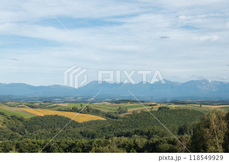 【美瑛町 五稜の丘からの秋の風景と十勝岳連峰】 【美瑛町 五稜の丘からの秋の風景と十勝岳連峰】 118549929