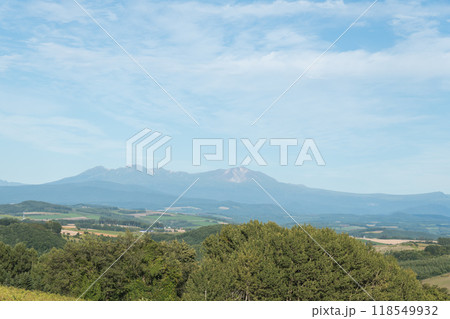 【美瑛町　五稜の丘からの秋の風景と十勝岳連峰】 118549932
