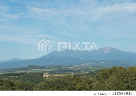 【美瑛町　五稜の丘からの秋の風景と十勝岳連峰】 118549936