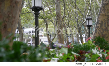 New York City, Manhattan Midtown Bryant Park with Public library, 42 street and Fifth 5 avenue, USA. 118550003