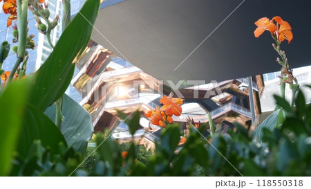 New York City, Hudson Yards, urban architecture in Chelsea, Manhattan Midtown, USA. Flowers bloom. 118550318