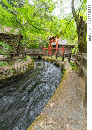 飯盛山に流れる川と鳥居 118550337