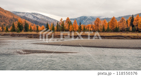 Quiet, calm autumn river. Dark atmospheric panoramic view Quiet, calm autumn river. Dark atmospheric panoramic view 118550376