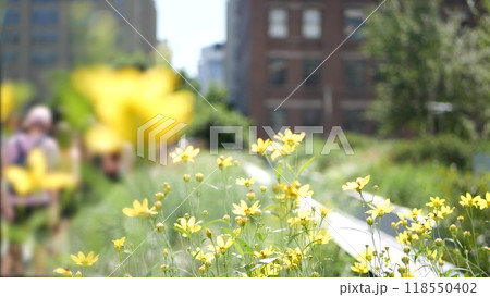 New York City High Line elevated greenway, Manhattan Midtown, USA. People in urban green public park 118550402