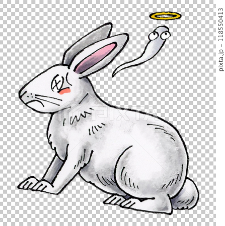 Dead white rabbit Dead white rabbit 118550413