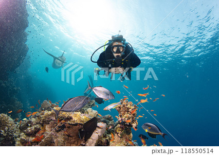 Scuba Diver Swimming in Deep Sea with Sunrays and Beautiful Coral Reef with Colorful Fishes 118550514