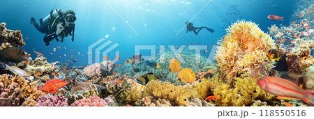 Scuba Diver Swimming in Deep Sea with Sunrays and Beautiful Coral Reef with Colorful Fishes 118550516