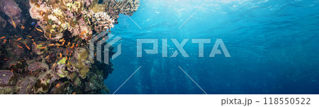 Underwater Tropical Corals Reef with colorful sea fish. Marine life sea world. Tropical colourful underwater seascape. Underwater Tropical Corals Reef with colorful sea fish. Marine life sea world. Tropical colourful underwater seascape. 118550522