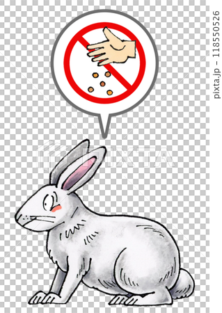 白いウサギに餌やり禁止マーク 白いウサギに餌やり禁止マーク 118550526