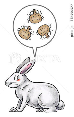 白いウサギとダニ 118550527