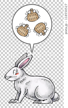 白いウサギとダニ 118550527