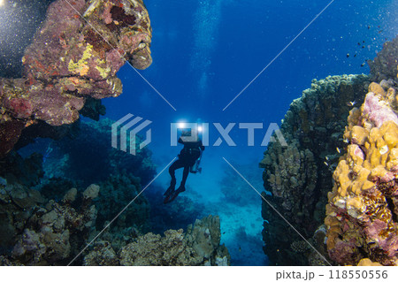 Scuba Diver Swimming in Deep Sea with Sunrays and Beautiful Coral Reef with Colorful Fishes 118550556