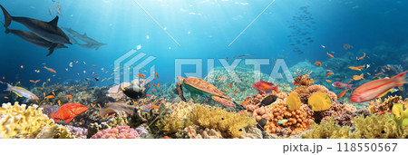 Underwater Tropical Corals Reef with colorful sea fish. Marine life sea world. Tropical colourful underwater seascape. 118550567