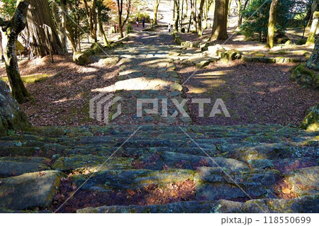 苔むした石の階段 118550699