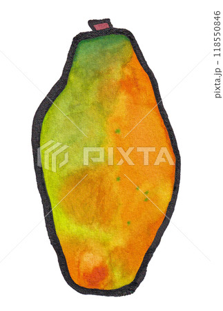 手描きの水彩画(絵手紙)「パパイア(パパイヤ)」縦 118550846