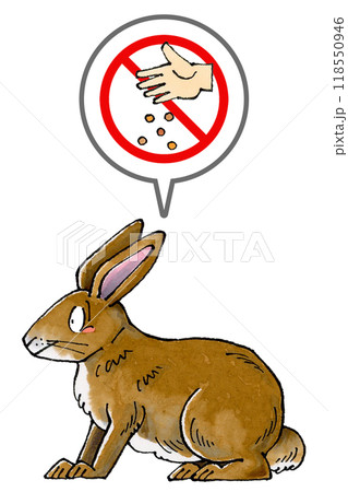 茶色いウサギに餌やり禁止マーク 茶色いウサギに餌やり禁止マーク 118550946