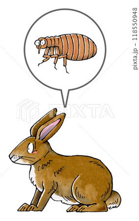 茶色いウサギとノミ 118550948