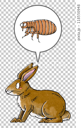 茶色いウサギとノミ 118550948