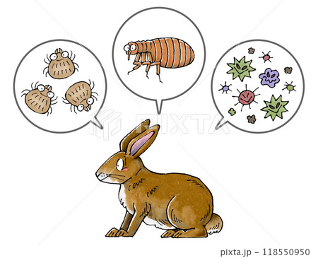 茶色いウサギと寄生虫(ダニ、ノミ、病原菌) 118550950