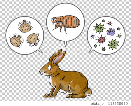 茶色いウサギと寄生虫(ダニ、ノミ、病原菌) 118550950