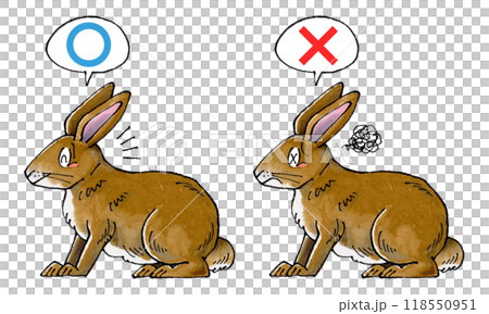 Judgment Brown Rabbit Set (True or False) 118550951