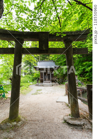 飯盛山の鳥居と社 飯盛山の鳥居と社 118550960