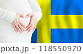 Demographics, pregnancy and love baby in Sweden concept. Pregnant woman making heart  118550970