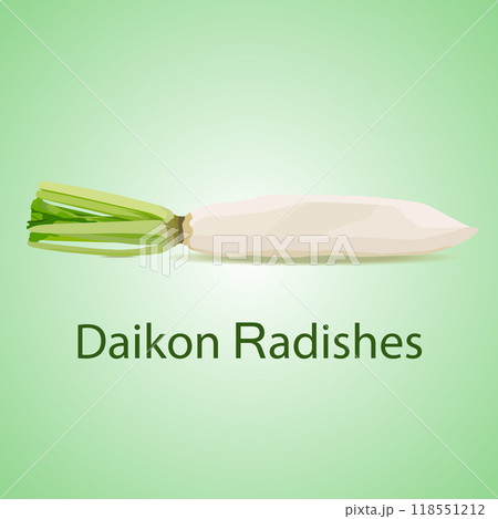 Daikon radishes illustrator vector japanese food root 118551212