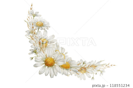 White chamomiles flowers,buds,dried flowers in corner frame as a symbol of purity, innocence, love, fidelity. Watercolor clipart on transparent background for product design, postcards, calendar White chamomiles flowers,buds,dried flowers in corner frame as a symbol of purity, innocence, love, fidelity. Watercolor clipart on transparent background for product design, postcards, calendar 118551234