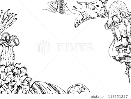 Marine life, sea ocean underwater creatures fish, shells algae seaweed, Ink and pen sketch hand drawn. Border frame illustration, stylized, isolated on white. For zoo shop, aquarium, cosmetics, resort 118551237