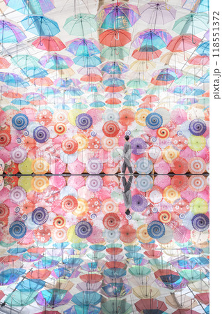 猪苗代ハーブ園のアンブレラスカイリフレクションと人 猪苗代ハーブ園のアンブレラスカイリフレクションと人 118551372