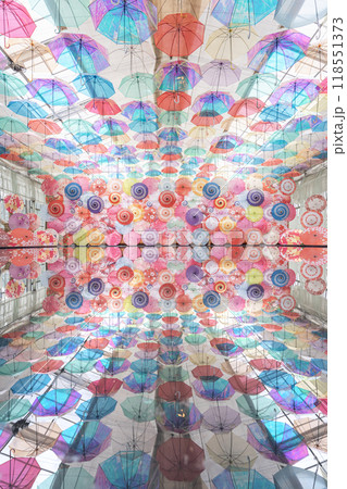 猪苗代ハーブ園のアンブレラスカイリフレクション 118551373