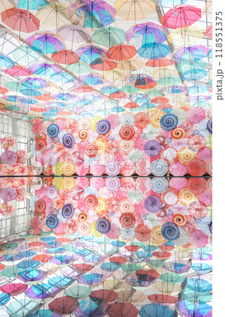 猪苗代ハーブ園のアンブレラスカイリフレクション 斜め 118551375