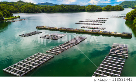 ドローンで撮影した牡蠣の養殖場 ドローンで撮影した牡蠣の養殖場 118551443