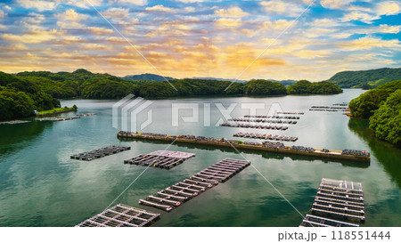 ドローンで撮影した牡蠣の養殖場 ドローンで撮影した牡蠣の養殖場 118551444