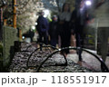 桜散る雨上がりの散歩道 118551917
