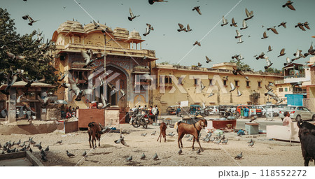 Jaipur, Rajasthan, India. Goats And Pigeons Feed On Streets Of Jaipur Near Fortress Gates. Every Day Life Of India. Many Pigeons Fly In . Street Vendors Sells Bird Food Jaipur, Rajasthan, India. Goats And Pigeons Feed On Streets Of Jaipur Near Fortress Gates. Every Day Life Of India. Many Pigeons Fly In . Street Vendors Sells Bird Food 118552272