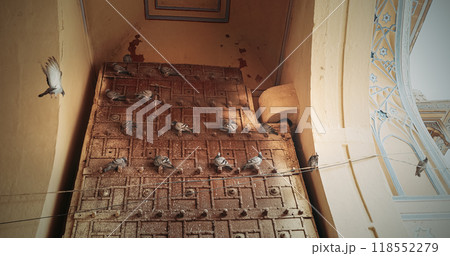 Pigeons Sitting On Old Doors Of Old Fortress Gates. Pigeons Fly In . Pigeons Sit In Row. Birds Life In Jaipur, Rajasthan, India Pigeons Sitting On Old Doors Of Old Fortress Gates. Pigeons Fly In . Pigeons Sit In Row. Birds Life In Jaipur, Rajasthan, India 118552279
